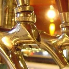 Tampa Tap Room