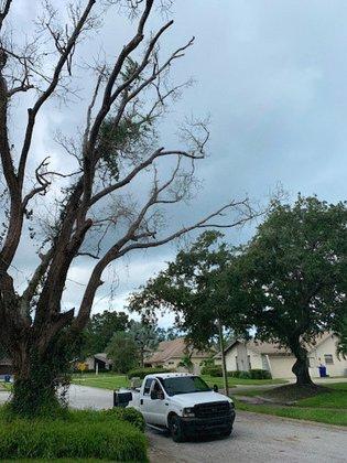 AlwaysBeKind Tree Care LLC