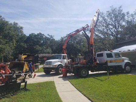 Jimmy Fosters Tree Service