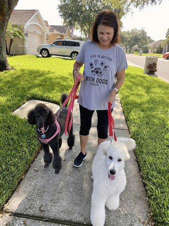 Wags and Whiskers Pet Visits