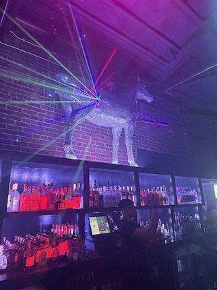 Disco Pony Nightclub