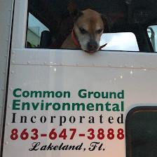Common Ground Environmental