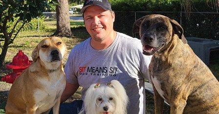 Sit Means Sit Dog Training St. Petersburg