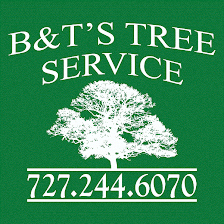 B&T's Tree Service