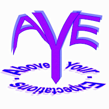 The A.Y.E. Team (Above Your Expectations)