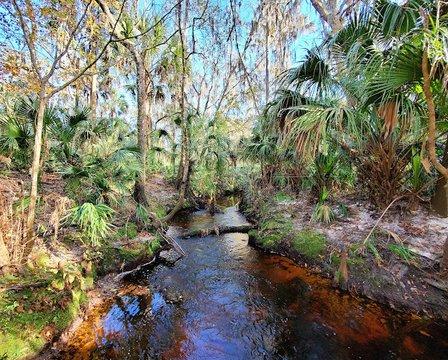 Myron and Helen Gibbons Nature Preserve