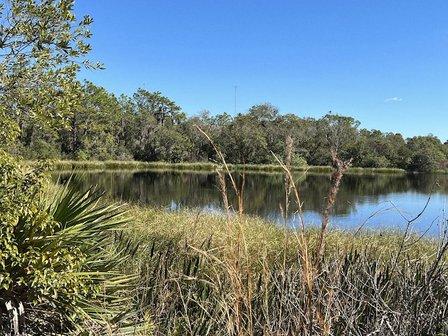 Bell Creek Nature Preserve