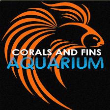 Corals and Fins