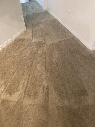 Superior Tile & Carpet Care