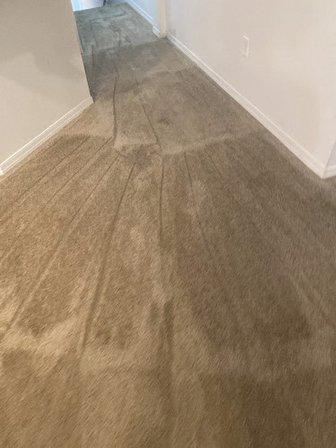 Superior Tile & Carpet Care