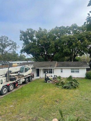 B&T's Tree Service