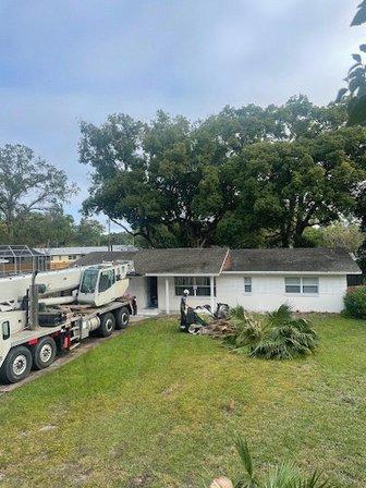B&T's Tree Service