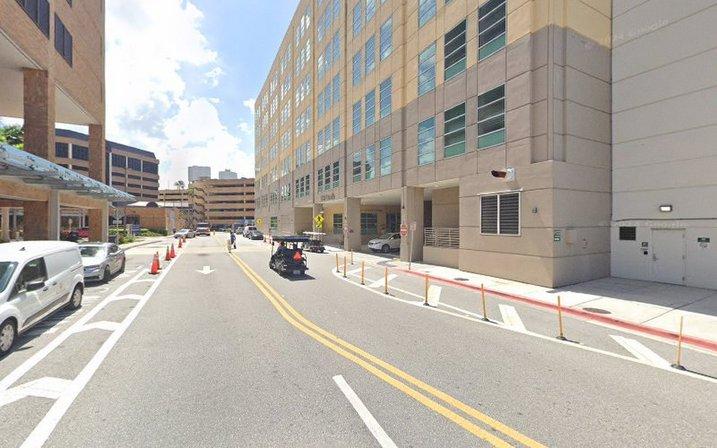 The University of South Florida-Department of Pediatrics