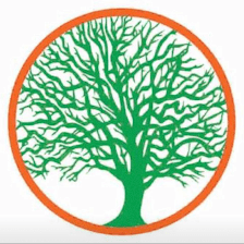 Clarke's Pro Tree Service