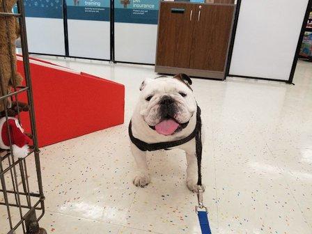 Petco