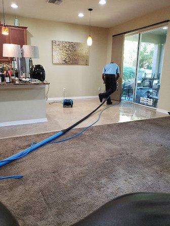 Zerorez Carpet Cleaning