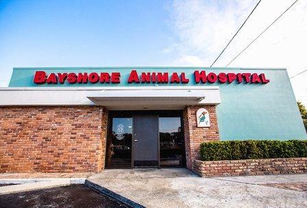 Bayshore Animal Hospital