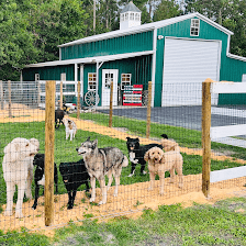 Southern Grooming and Boarding, LLC