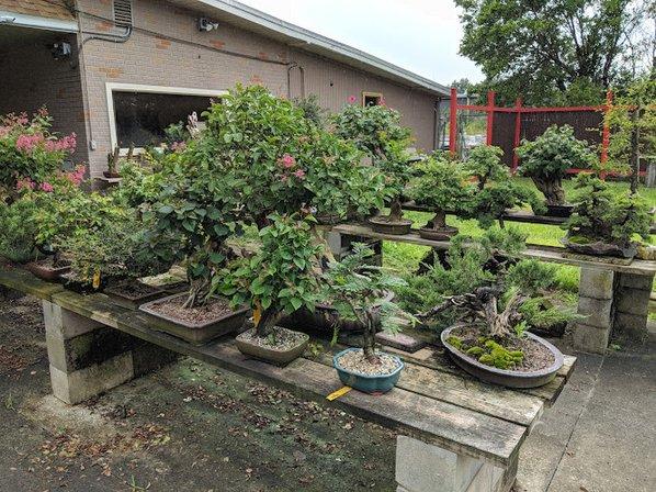 Artisans Bonsai, INC