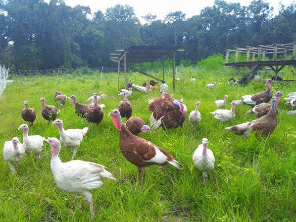 TrailBale Farm