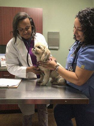 River Mill Animal Hospital - Dr. Tammie Hodge