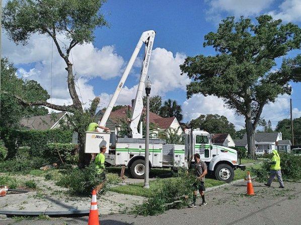 CPL Tree Service & Landscaping