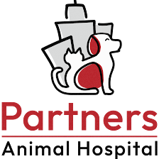 Partners Animal Hospital Wesley Chapel