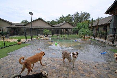 The Lodge