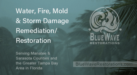 BlueWave Restorations
