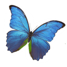 Attraction Center Publishing, LLC