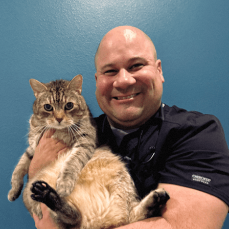Partners Animal Hospital Wesley Chapel