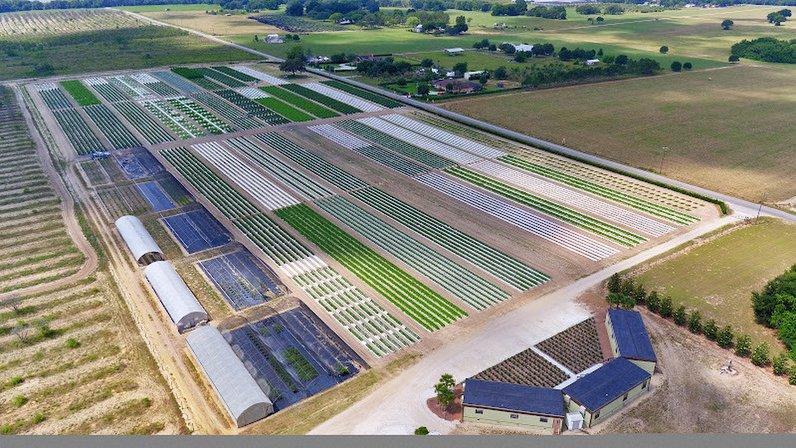 Florida Ag Research