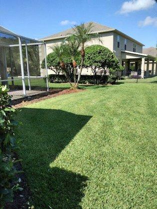 The palms Lawn care
