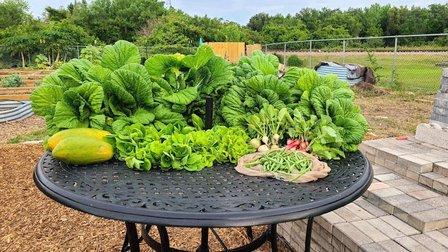 Community SOGarden