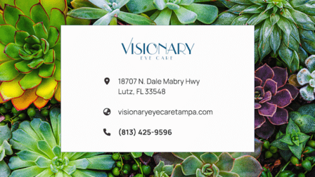 Visionary Eye Care