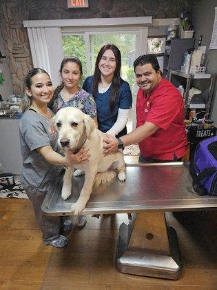 Vetria Pet Wellness & Surgery Center