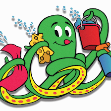 Octopus Car Wash Plant City