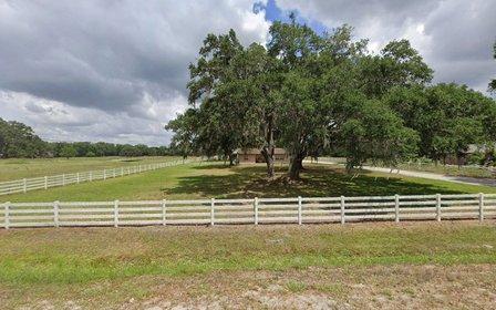 Wilkinson Cattle Company