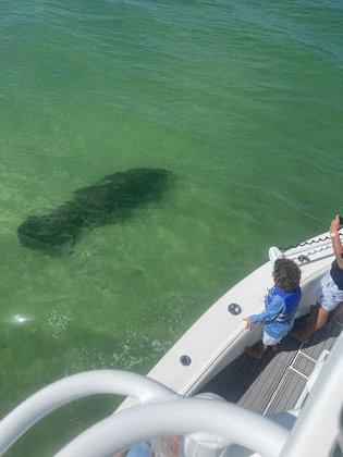St Pete Beach Boat Tour