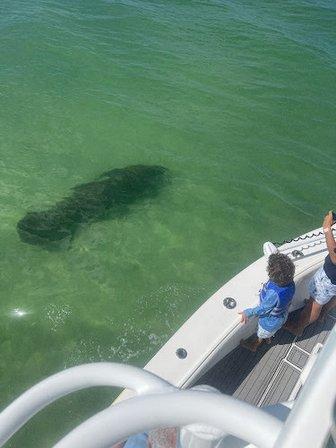 St Pete Beach Boat Tour