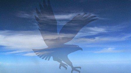 Embry-Riddle Aeronautical University - MacDill AFB