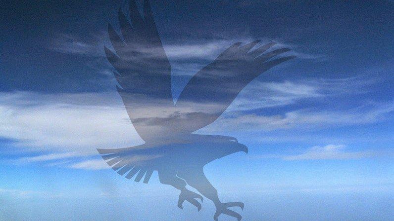Embry-Riddle Aeronautical University - MacDill AFB