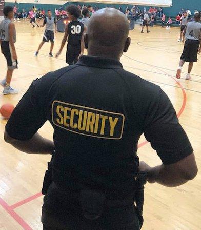 Nest Egg Security LLC