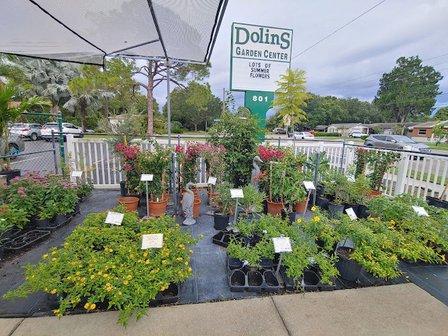 Dolins Garden Center