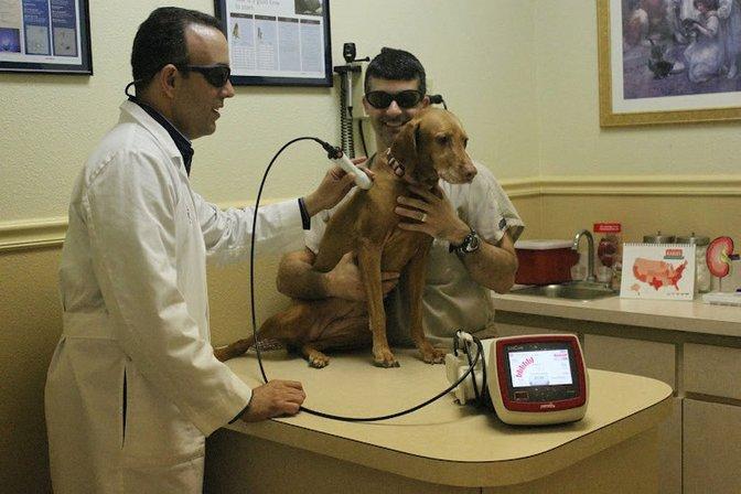 Bearss Animal Hospital