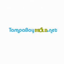 TampaBayMold.net