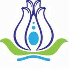 Pranic Healing Tampa