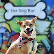 The Dog Bar