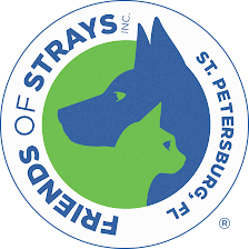 MEOW Now, a program of Friends of Strays