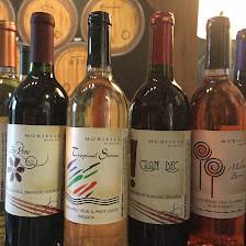Murielle Winery